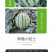 中科茂华蔬菜瓜果种子中科早佳88-24西瓜种子皮薄甜