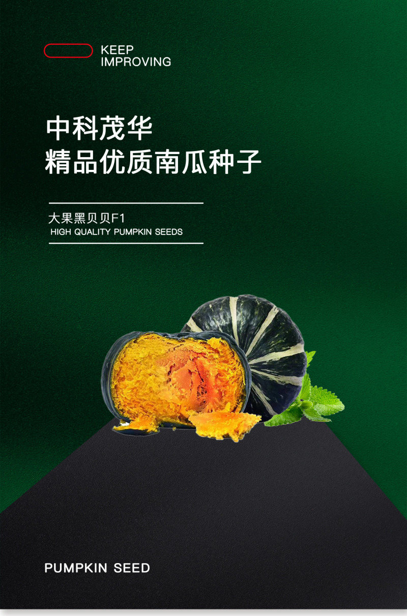 中科茂华蔬菜种子大果黑贝贝南瓜种子新西兰类型南瓜新品种