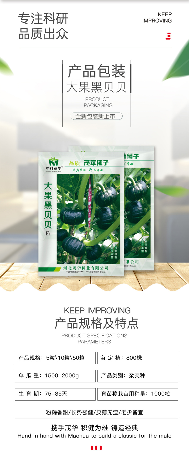 中科茂华蔬菜种子大果黑贝贝南瓜种子新西兰类型南瓜新品种