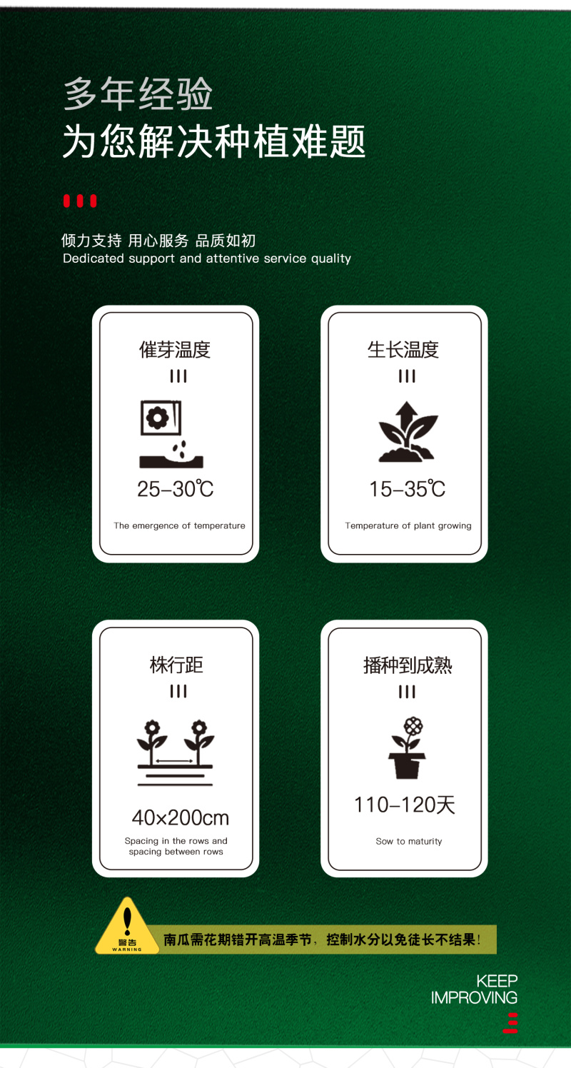 中科茂华蔬菜种子大果黑贝贝南瓜种子新西兰类型南瓜新品种