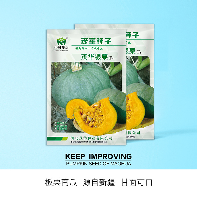 中科茂华蔬菜种子茂华银栗南瓜种子灰皮黄肉板栗味道早熟
