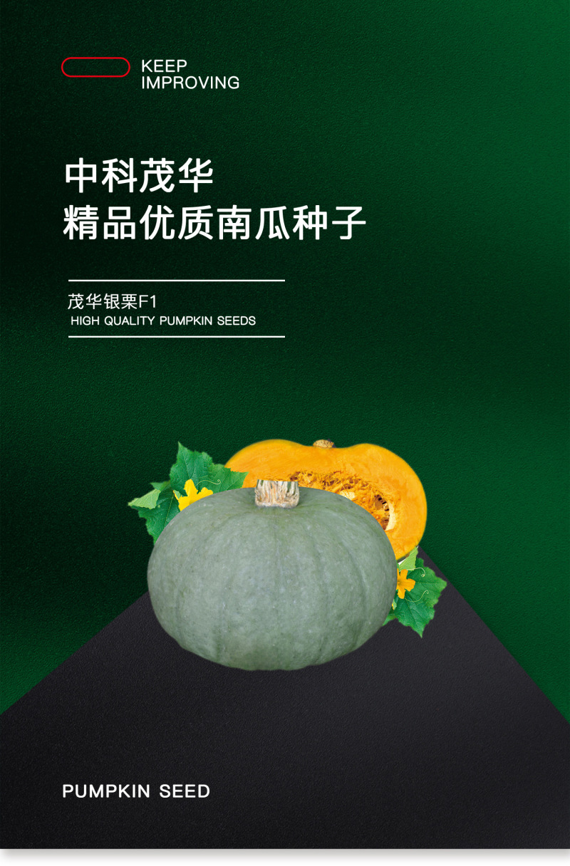 中科茂华蔬菜种子茂华银栗南瓜种子灰皮黄肉板栗味道早熟