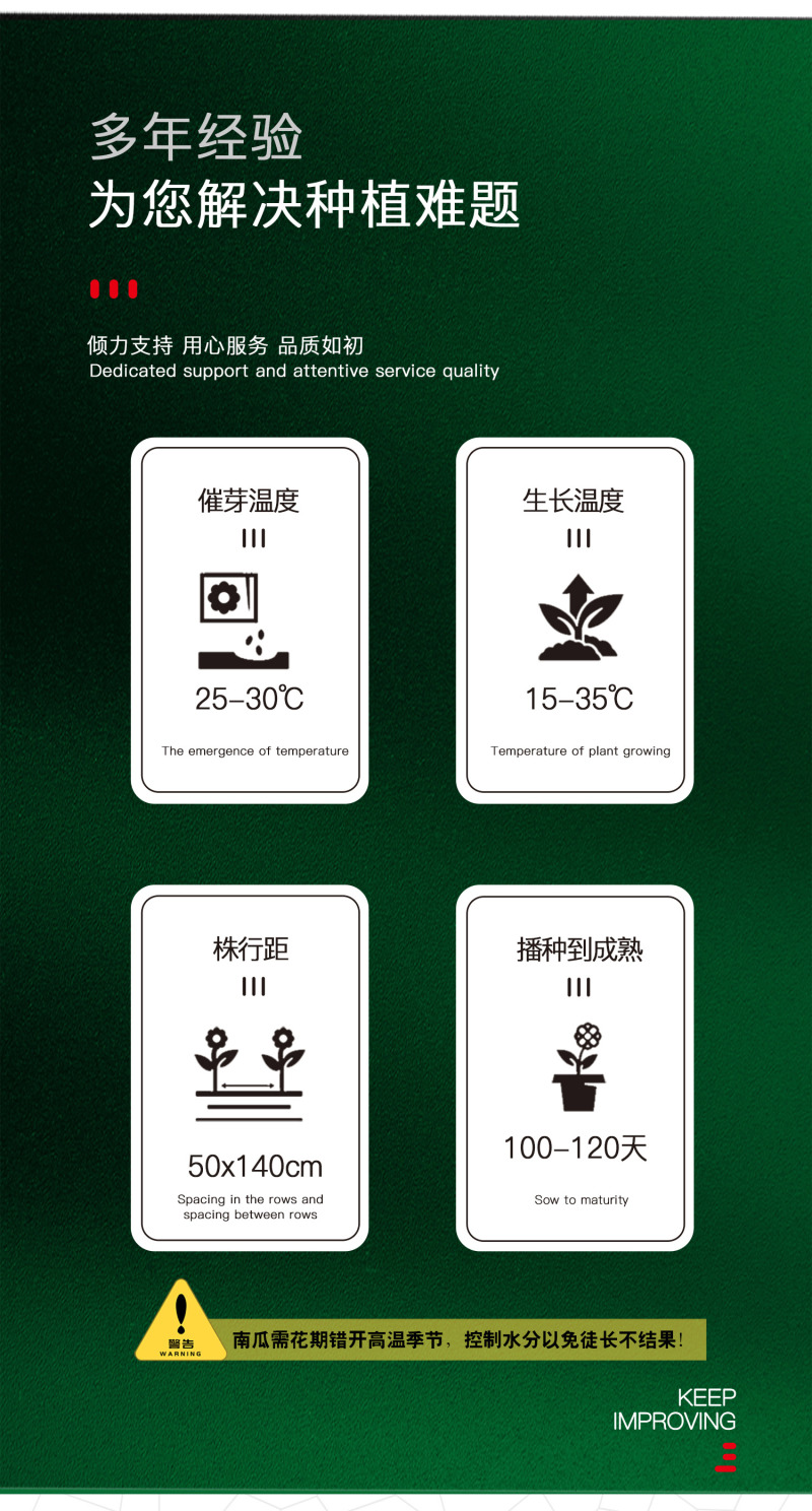 中科茂华蔬菜种子茂华银栗南瓜种子灰皮黄肉板栗味道早熟