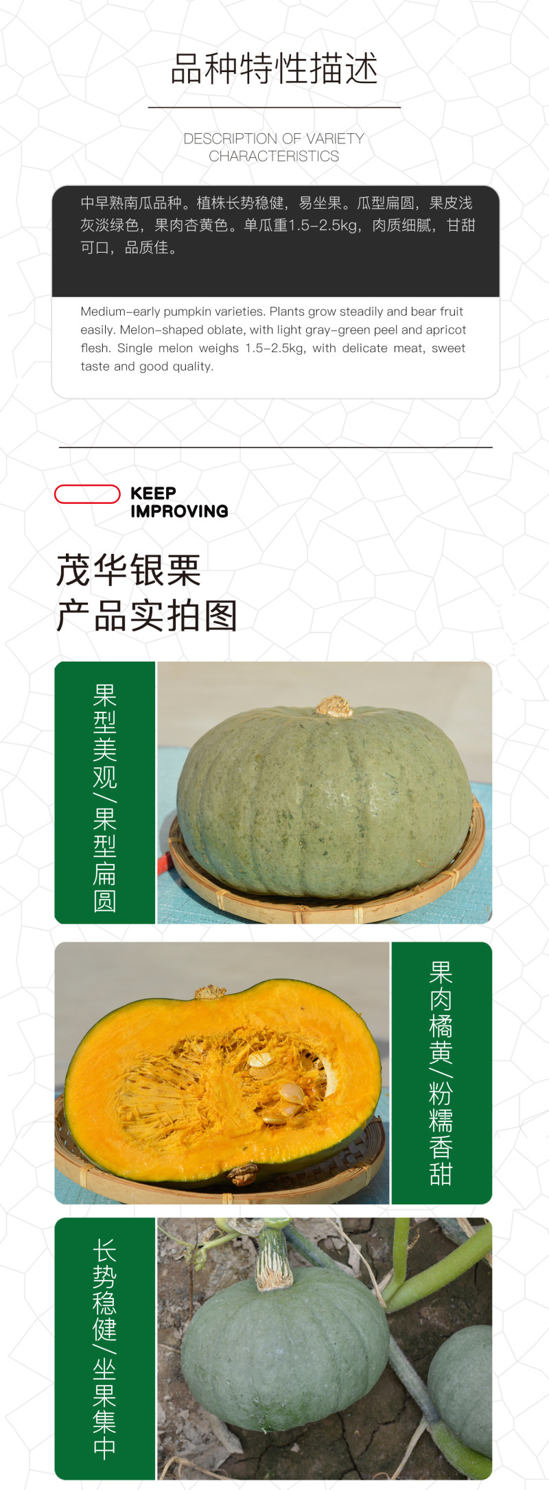 中科茂华蔬菜种子茂华银栗南瓜种子灰皮黄肉板栗味道早熟