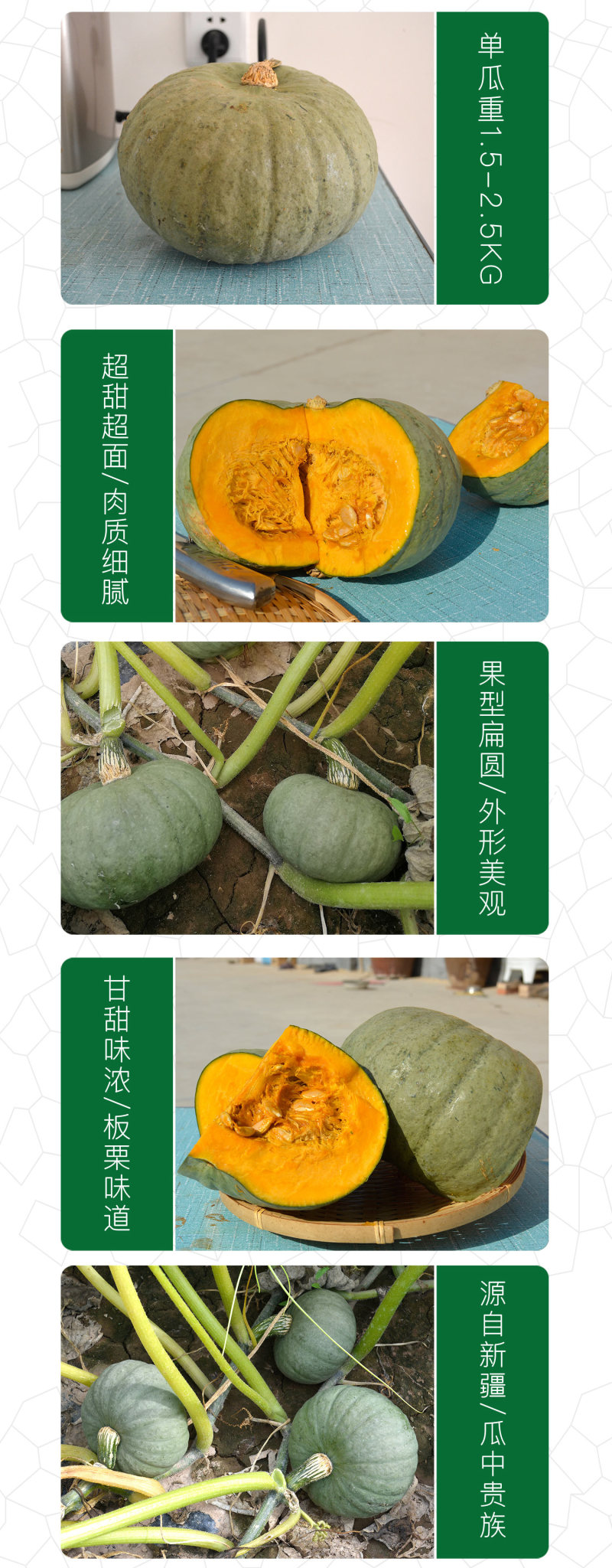 中科茂华蔬菜种子茂华银栗南瓜种子灰皮黄肉板栗味道早熟