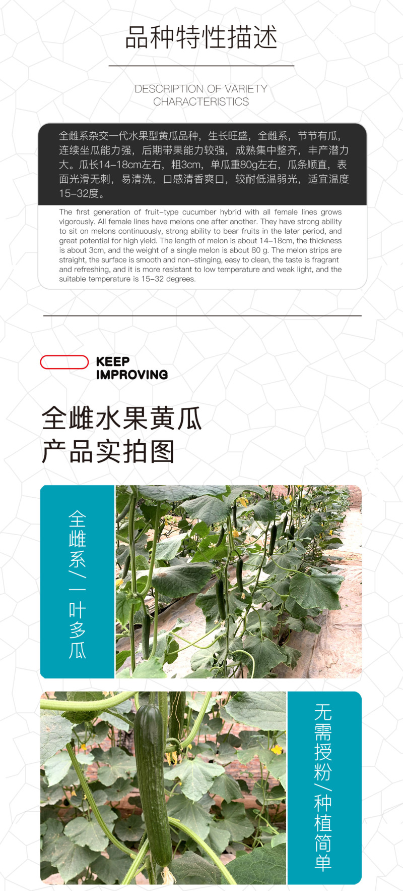 中科茂华蔬菜种子无刺全雌水果黄瓜种子一叶一瓜果肉淡绿