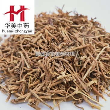 远志@【华美中药】中药材批发供应【远志】远志