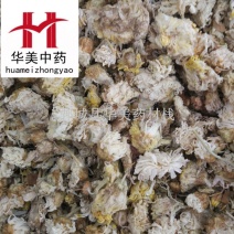 菊花@【华美中药】中药材批发供应【菊花】菊花