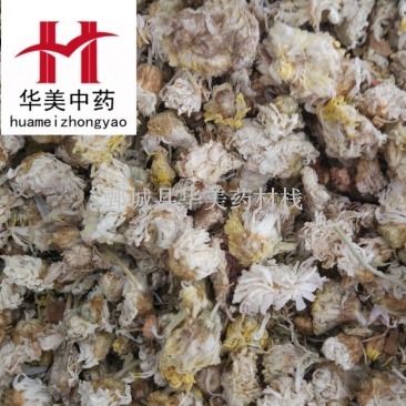 菊花@【华美中药】中药材批发供应【菊花】菊花