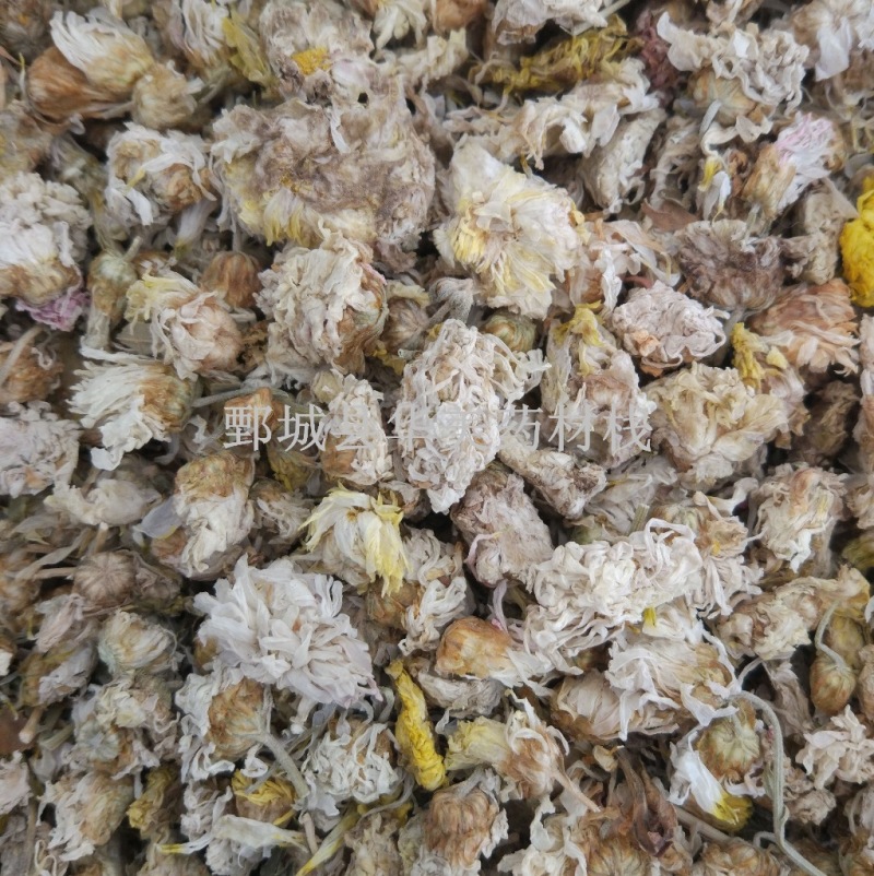 菊花@【华美中药】中药材批发供应【菊花】菊花