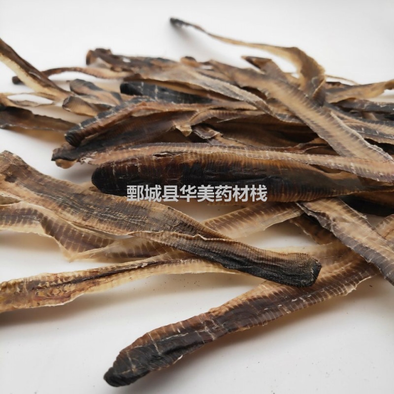 广地龙1000克@【华美中药】中药材批发供应【全开地龙
