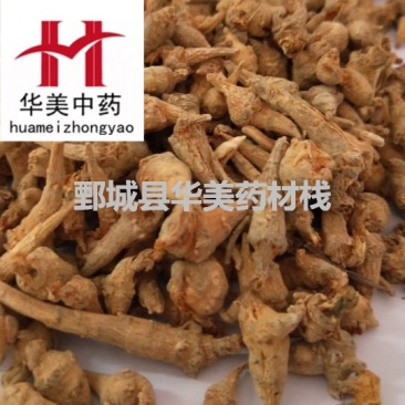 三七@【华美中药】中药材批发供应【三七芽】三七