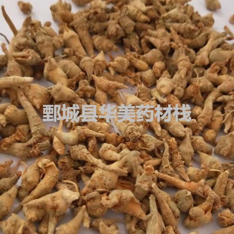 三七@【华美中药】中药材批发供应【三七芽】三七