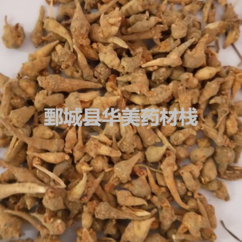 三七@【华美中药】中药材批发供应【三七芽】三七