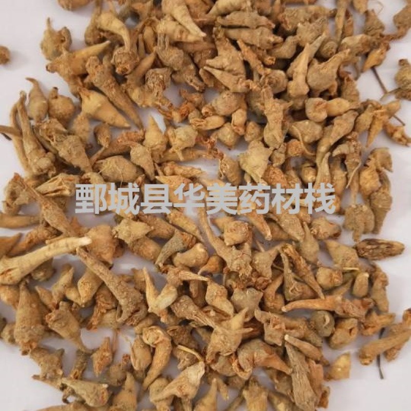 三七@【华美中药】中药材批发供应【三七芽】三七