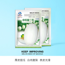 中科茂华瓜果种子中科蜜二号厚皮甜瓜种子白皮白肉