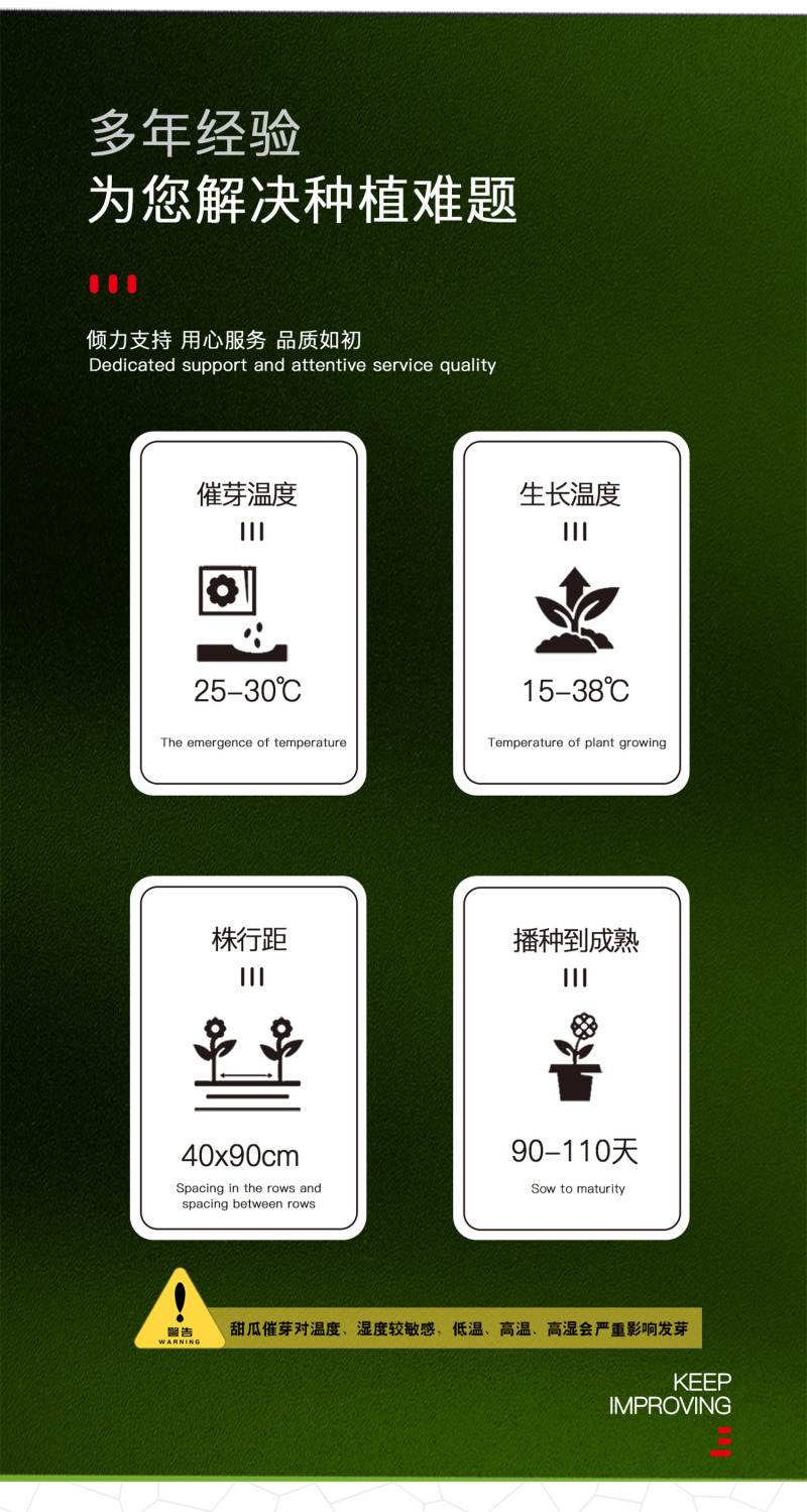 中科茂华瓜果种子中科蜜二号厚皮甜瓜种子白皮白肉