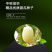 中科茂华瓜果种子中科蜜一号厚皮甜瓜种子香瓜种子