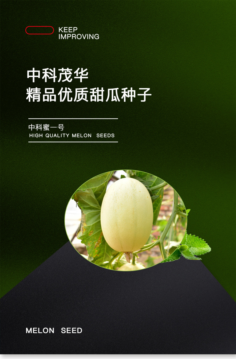 中科茂华瓜果种子中科蜜一号厚皮甜瓜种子香瓜种子