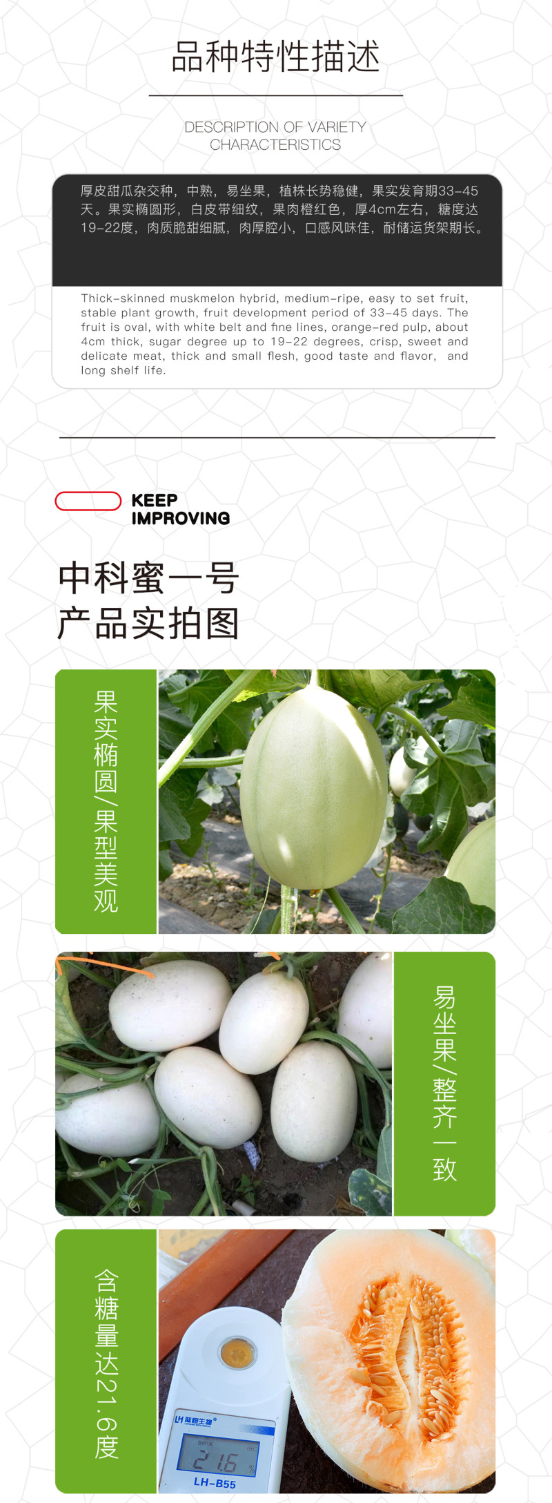 中科茂华瓜果种子中科蜜一号厚皮甜瓜种子香瓜种子