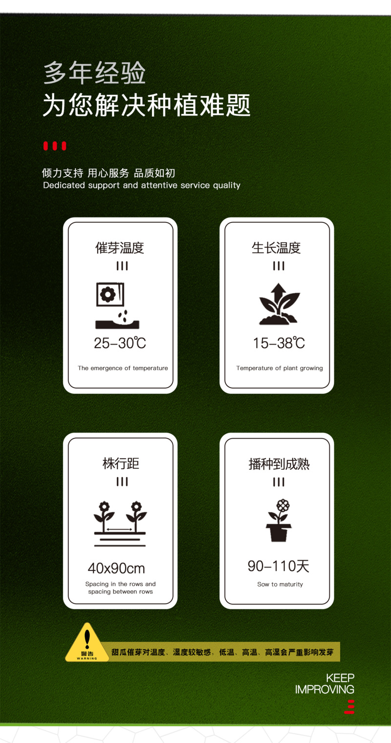 中科茂华瓜果种子中科蜜一号厚皮甜瓜种子香瓜种子