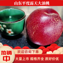 【山东油桃】新鲜应季水果露天大油桃大量上市中，规格齐全