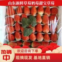 【欢迎】山东新鲜草莓奶莓甜宝草莓大量上市，需要的电联