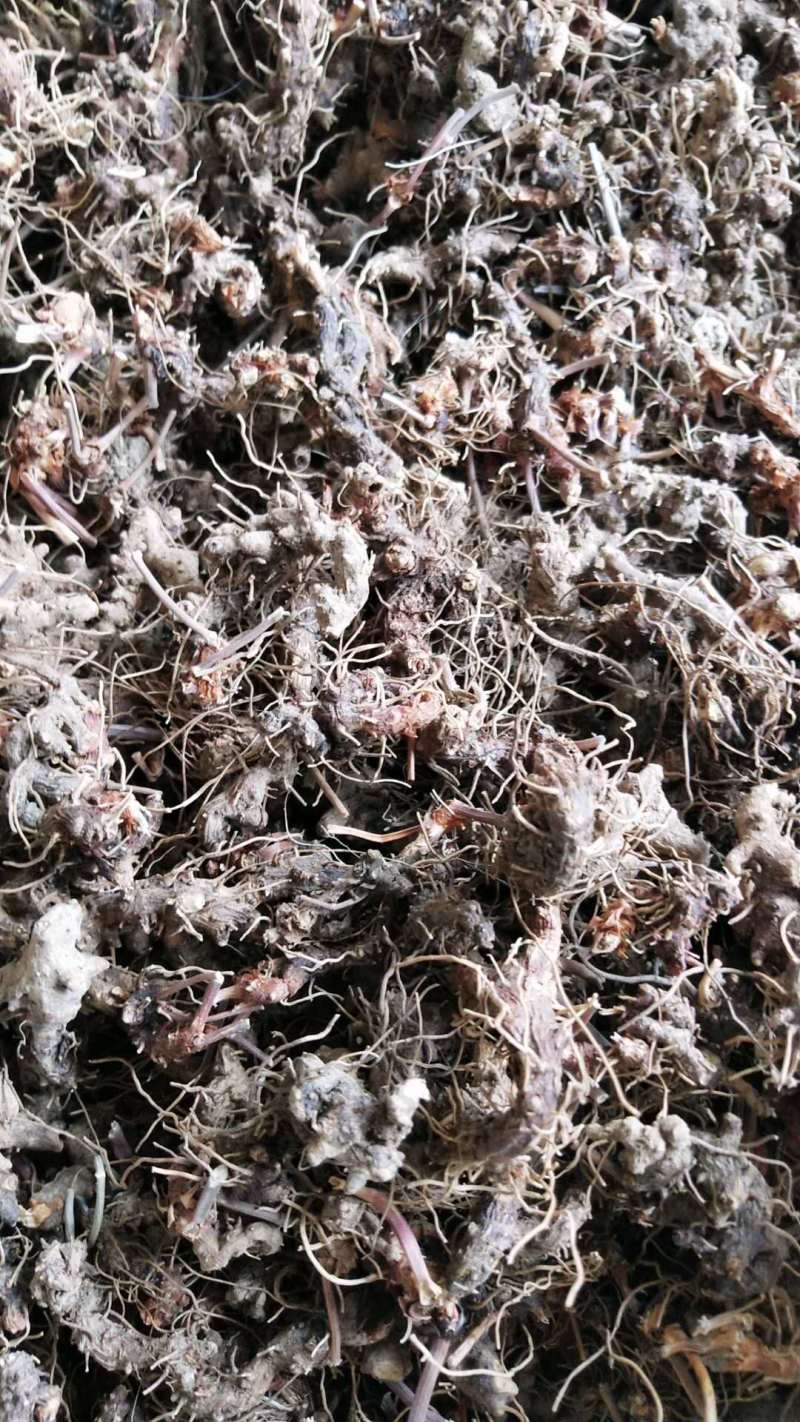 生淫羊藿叶，可泡水喝的叶子，淫羊藿根，需要的联系