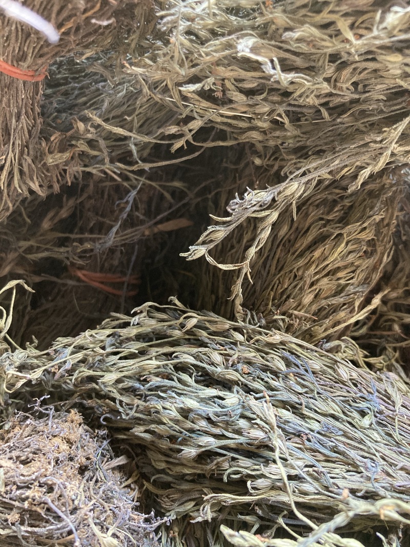 独脚金小儿开胃消食汤包野生疳积草自然晒干另售各种香辛料