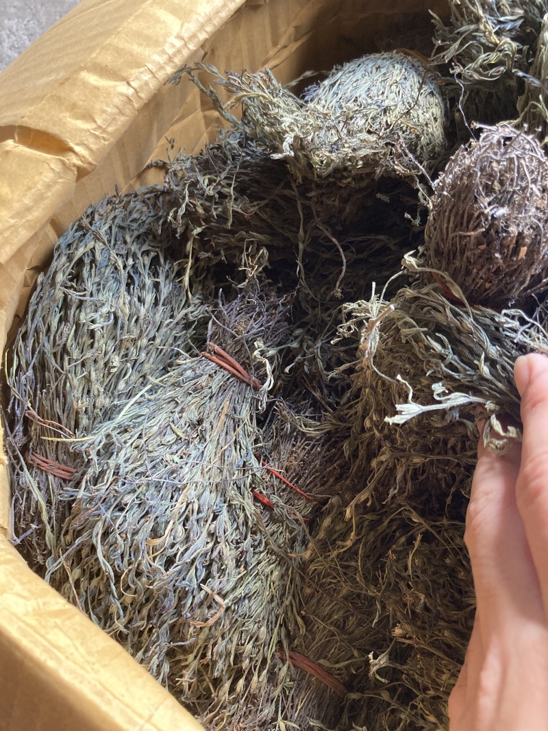 独脚金小儿开胃消食汤包野生疳积草自然晒干另售各种香辛料