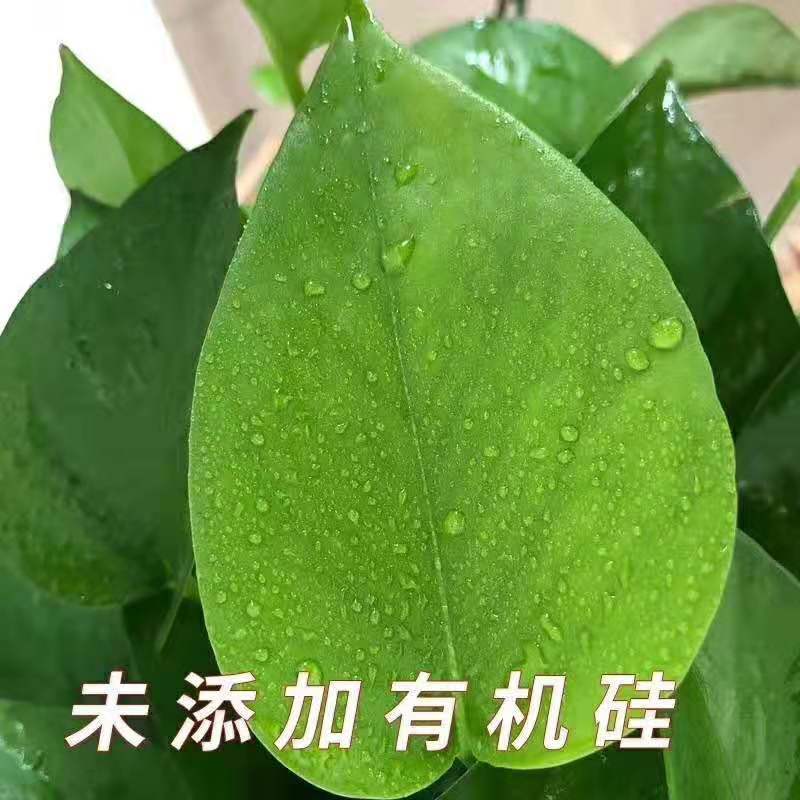 植物油助剂青皮精油渗透剂杀菌剂杀虫剂快速吸收提高药效