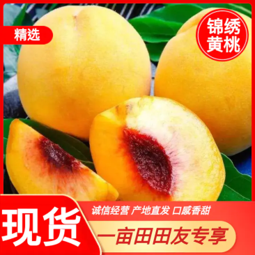 锦绣套袋黄桃，大量有货，产地直供一手货源