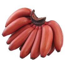 福建土楼红皮香蕉新鲜水果美人蕉红色香蕉火龙蕉红皮蕉