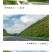 护坡灌木紫穗槐种子芽率98%护坡植被覆盖效果好生长快