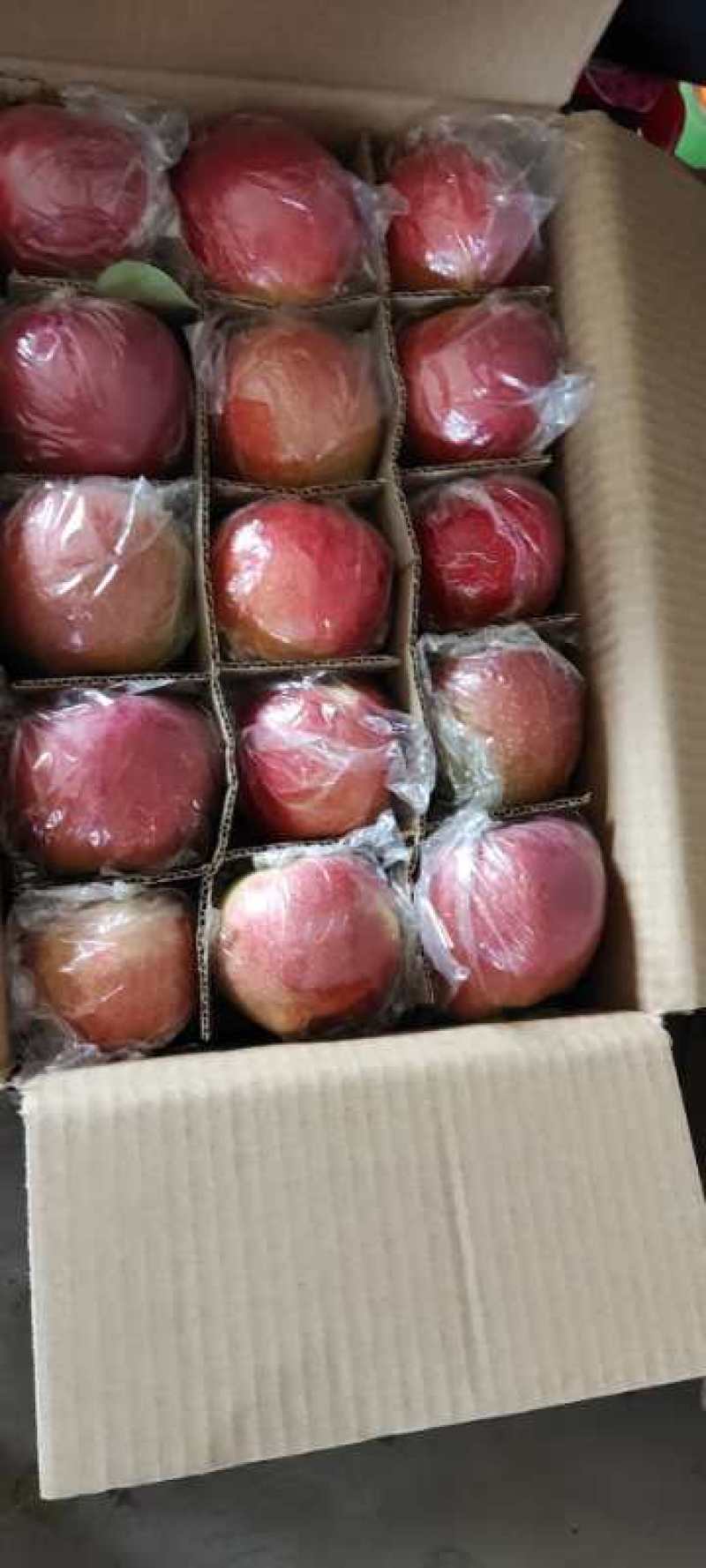 【优质】山西嘎啦美八苹果，产地直发，量大从优，保质保量！