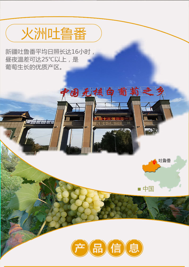 【现货】新疆新鲜葡萄5斤吐鲁番无核白无籽青提马奶子