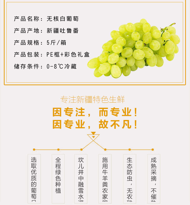 【现货】新疆新鲜葡萄5斤吐鲁番无核白无籽青提马奶子
