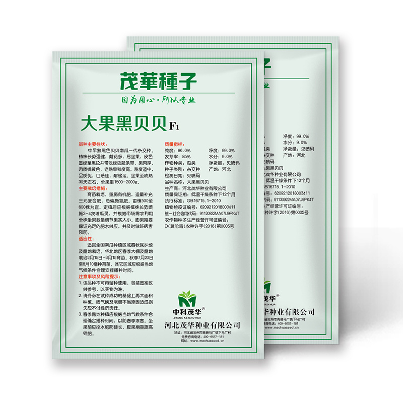 中科茂华蔬菜种子大果黑贝贝南瓜种子新西兰类型南瓜新品种