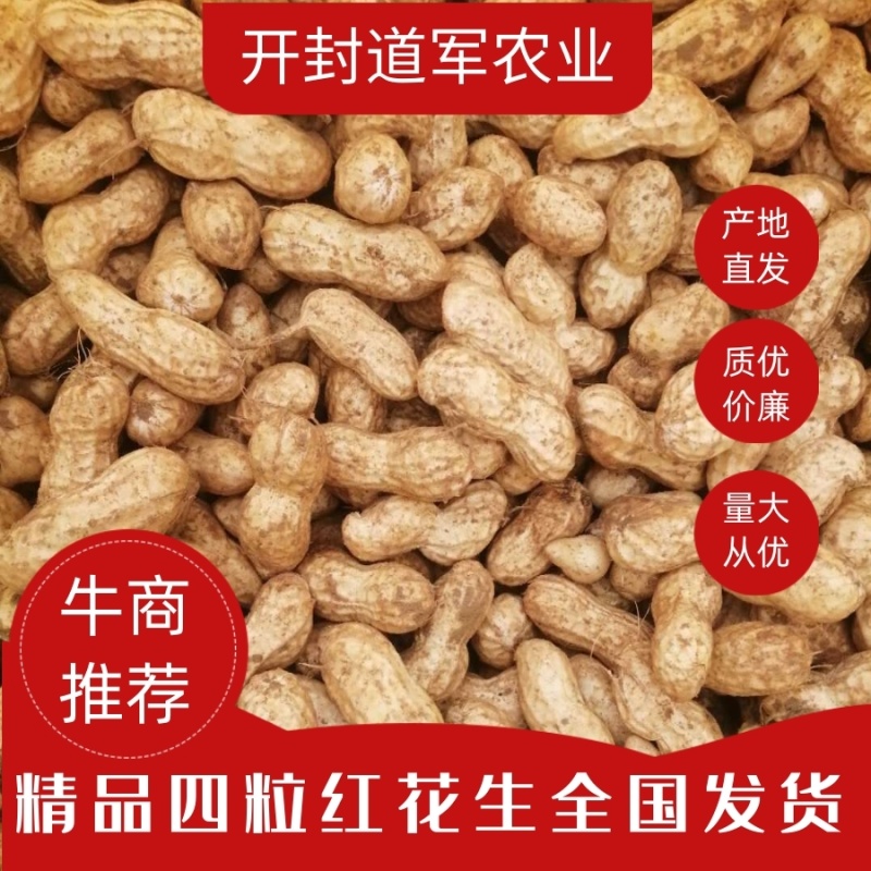 河南四粒红花生，产地直发货源充足量大从优欢迎订购