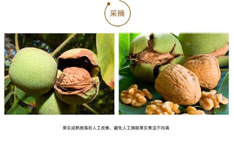 广西乐业县薄皮核桃山核桃
