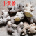 云南小黄姜鲜姜现挖高山生态原产地直供一件代发