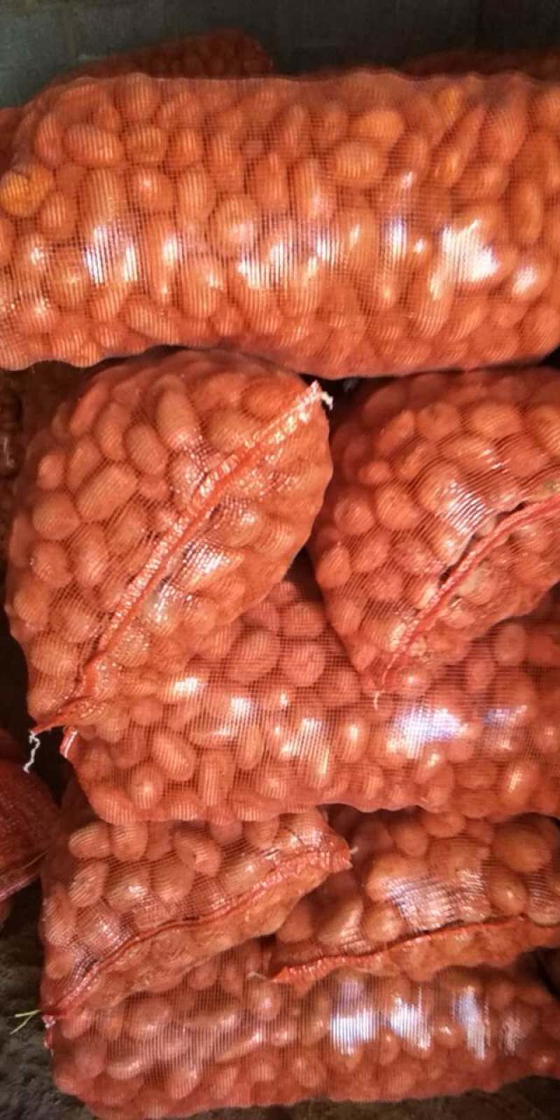 优质云南土豆粉糯可口产地直销量大价优