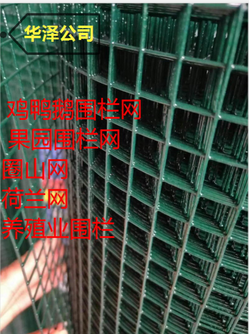 铁网鱼塘围栏网网建筑工地临时围栏防鼠防猫网