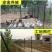 铁网鱼塘围栏网网建筑工地临时围栏防鼠防猫网