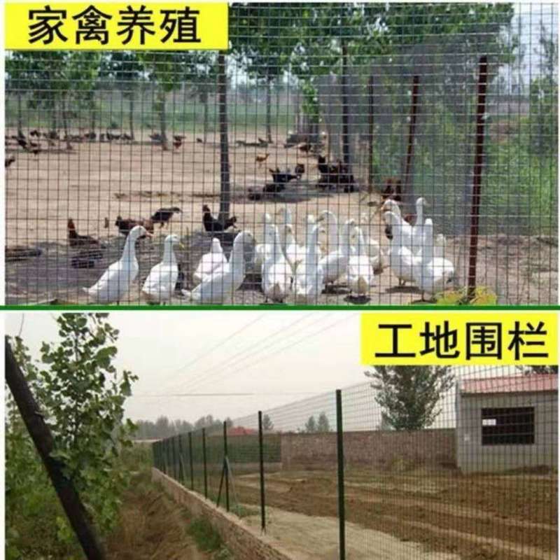 铁网鱼塘围栏网网建筑工地临时围栏防鼠防猫网