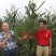 四川辣椒种子川椒种业干椒5号辣椒种子8g/袋