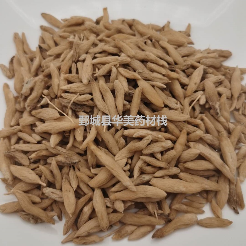 麦冬@【华美中药】中药材批发供应【麦冬】统货麦冬