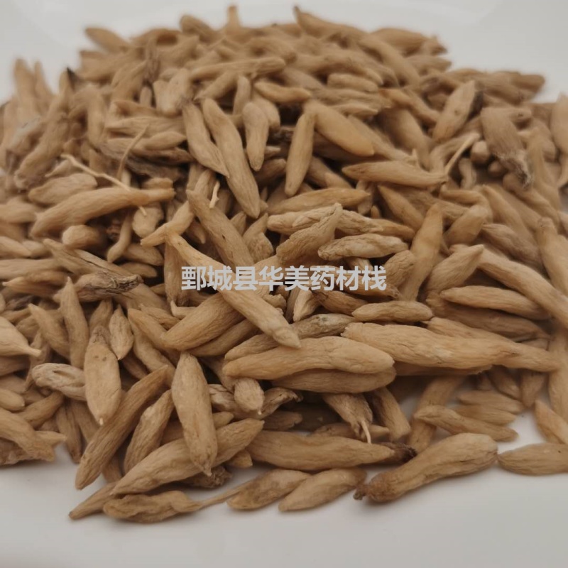 麦冬@【华美中药】中药材批发供应【麦冬】统货麦冬