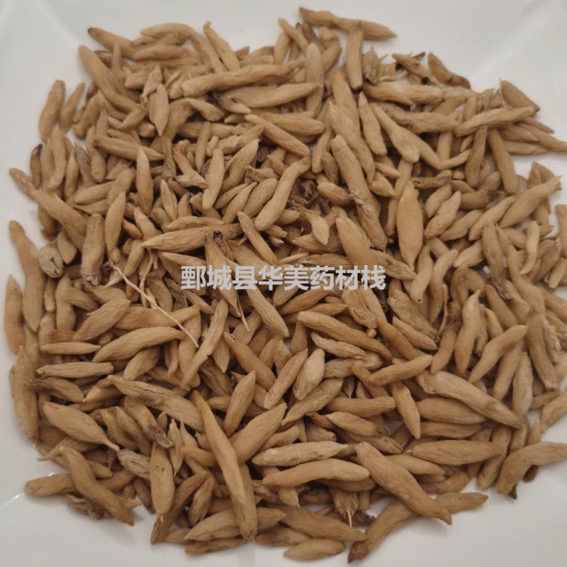 麦冬@【华美中药】中药材批发供应【麦冬】统货麦冬