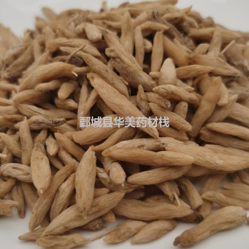 麦冬@【华美中药】中药材批发供应【麦冬】统货麦冬